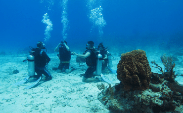 Padi-Dive-Master-Phu-Quoc